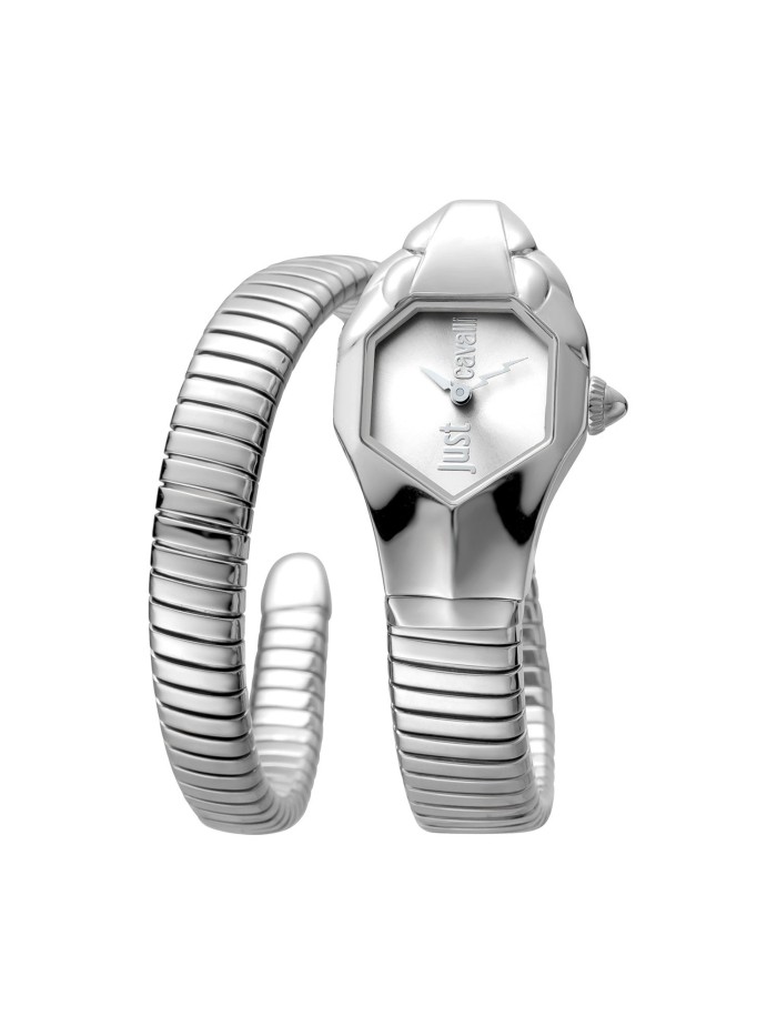 Silver Grey Watches