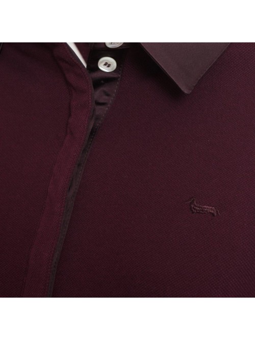 Red Polo