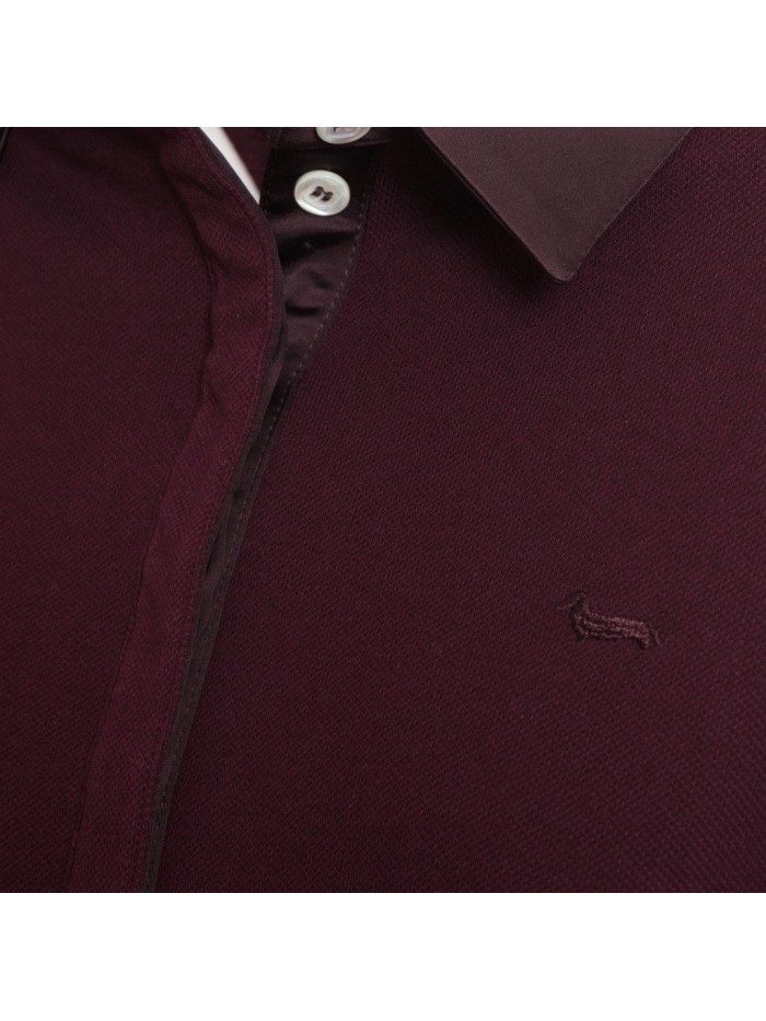 Red Polo