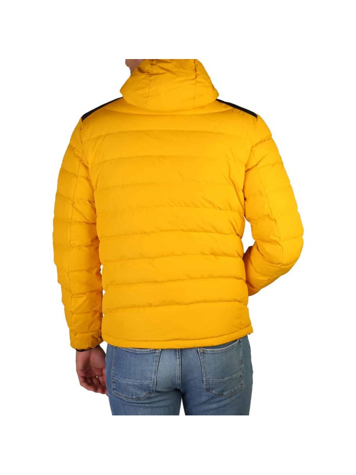 Yellow Jackets